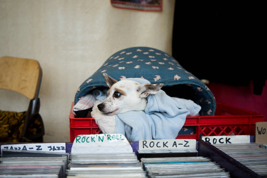 The Most Popular Genres on Vinyl