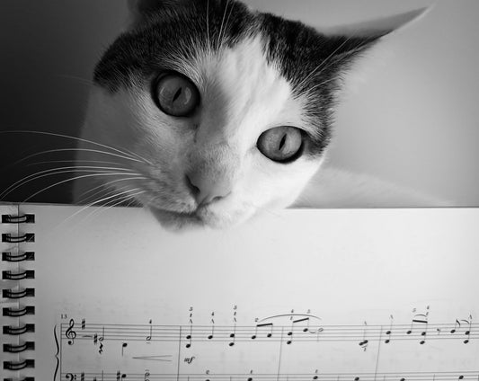 Part 1 - The World's Sound Traditions : The Universal Language of Listening