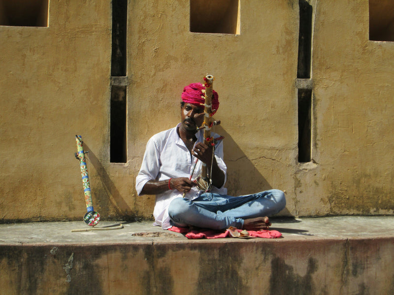Indian Street Musician