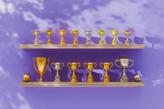awards displayed on shelves on a wall